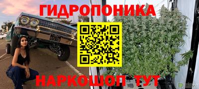 сатива Ангарск