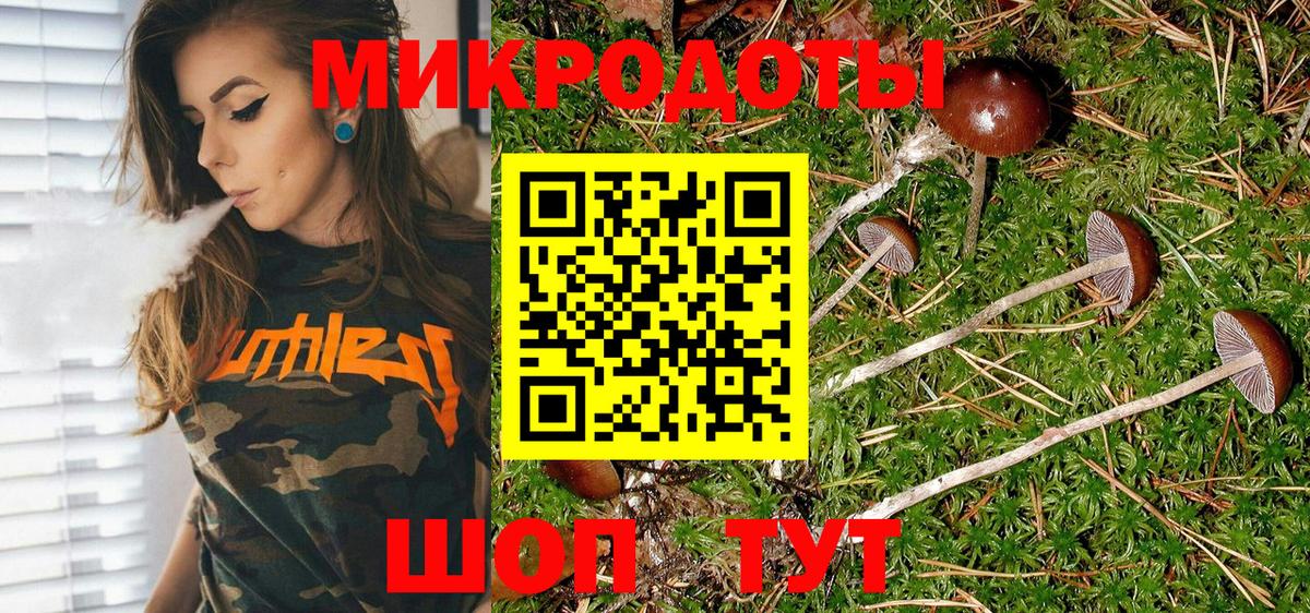 Галлюциногенные грибы Psilocybine cubensis Златоуст