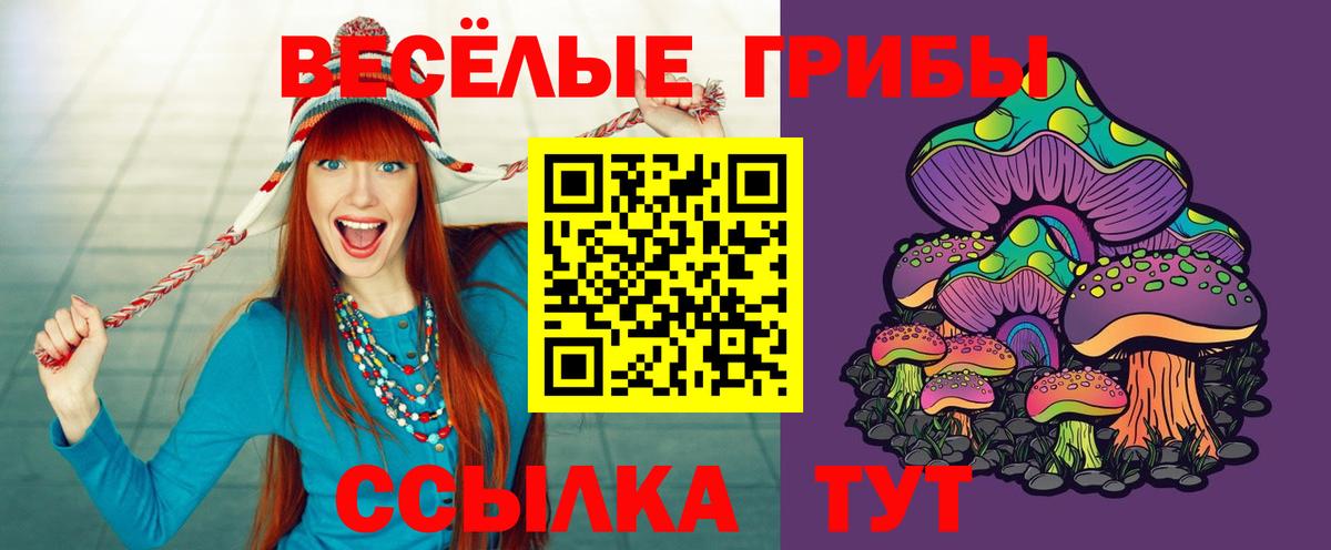 Златоуст  Псилоцибиновые грибы MAGIC MUSHROOMS  Вход с VPN 